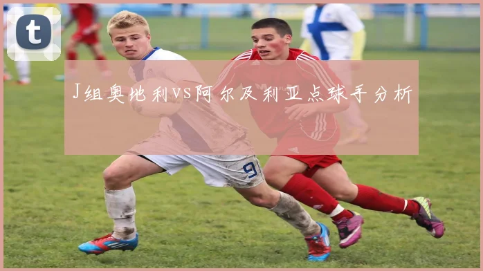 J组奥地利vs阿尔及利亚点球手分析