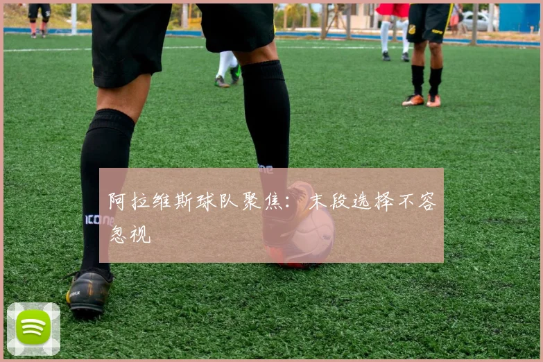 阿拉维斯球队聚焦：末段选择不容忽视